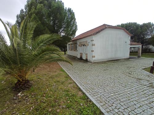 a palm tree next to a white building at CASA DE PERAIS in Perais