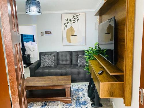 a living room with a couch and a television at The Curve Apartments Unit 3 in Johannesburg