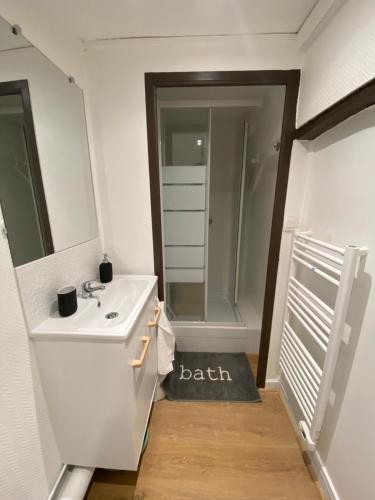 een badkamer met een wastafel en een douche bij Le Bassam, proche aéroport in Tillé