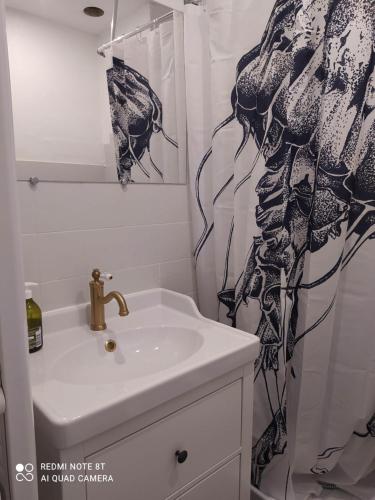 une salle de bain avec un lavabo et un rideau de douche dans l'établissement Joli studio au centre d'Uriage, à Vaulnaveys-le-Haut
