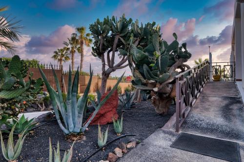 Studio Etna-near Playa Flamingo