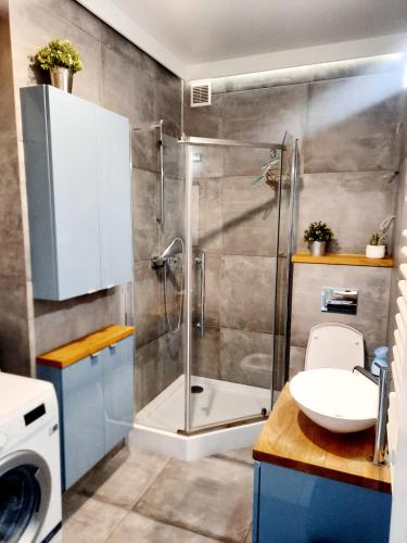 a bathroom with a shower and a toilet and a sink at Apartament 252 in Kielce