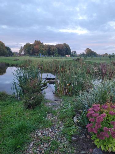 a pond in a field with grass and flowers at Vaitų Riešutynė - Small shipping container house in Antanava