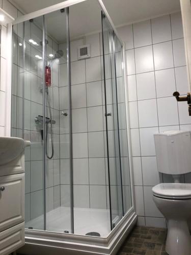 bagno con doccia in vetro e servizi igienici. di Panoráma Apartman Felsötárkány a Felsőtárkány