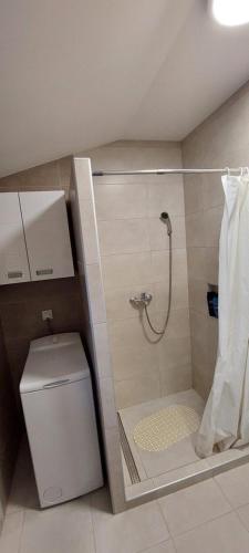 Bilik mandi di ANA Apartment