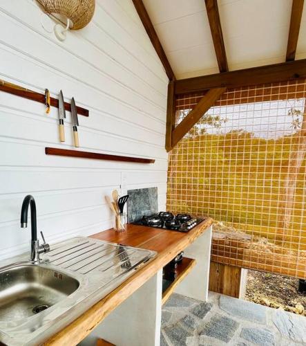a kitchen with a sink and a counter top at Lodge Kara in Grand-Bourg