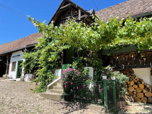 Κήπος έξω από το Entire House @Saschiz 130