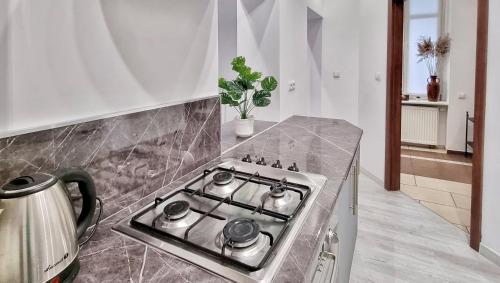 Η κουζίνα ή μικρή κουζίνα στο Apartament Kaczyniec 10