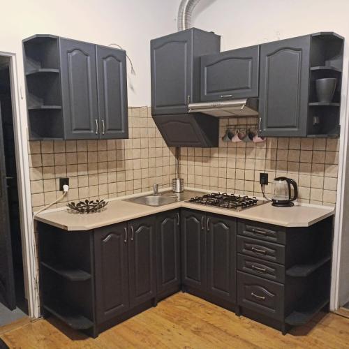 eine Küche mit schwarzen Schränken und einer Spüle in der Unterkunft DreamFlat in Przemyśl
