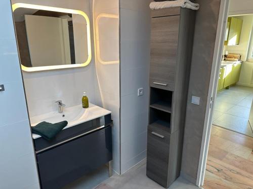 ein Bad mit einem Waschbecken und einem Spiegel in der Unterkunft Vaste appartement cosy avec parking gratuit et espace de travail in Illkirch-Graffenstaden