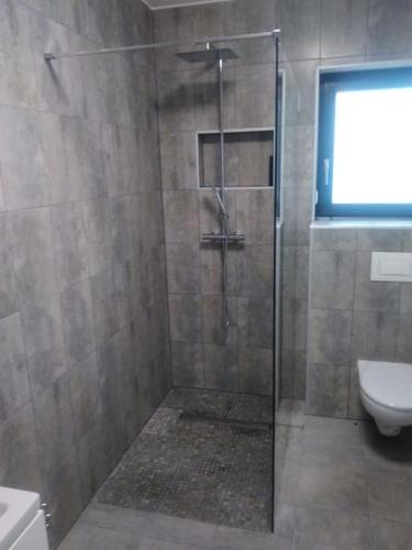 a bathroom with a shower with a toilet and a window at Wake domek Green House Januszkowice in Januszkowice