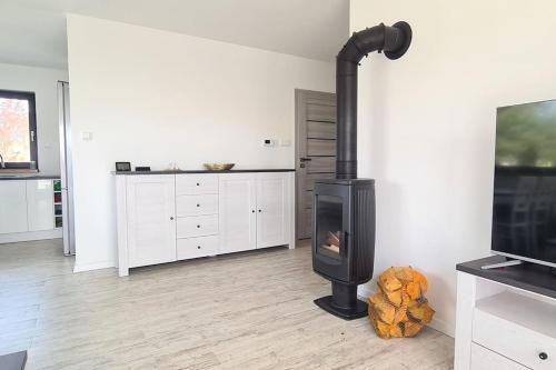 a living room with a wood stove in a room at Wake domek Green House Januszkowice in Januszkowice