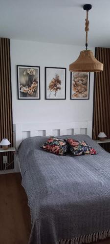a bedroom with a bed with four pictures on the wall at Siedlisko Czapla koło Suntago - 900 m od Suntago in Grabce