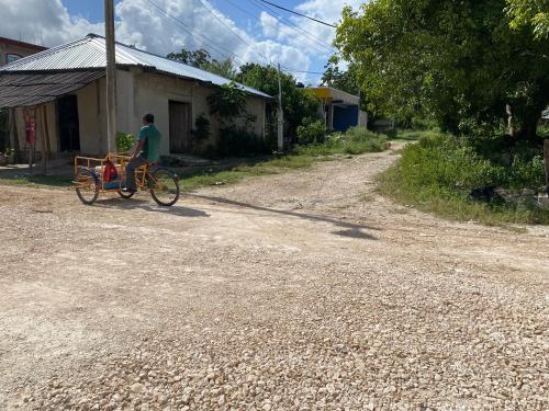 Gallery image of Malinche Cafe in Coba Tulum in Coba