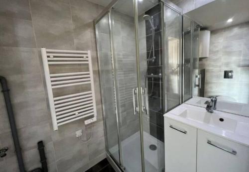 La salle de bains est pourvue d'une douche et d'un lavabo. dans l'établissement T1 Proche Annecy, à Épagny