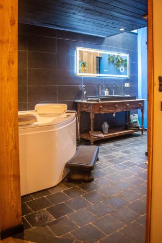 a bathroom with a toilet and a sink at Een vleugje wellness in de Voerstreek - Bed & Brocante Onder de Poort in Voeren