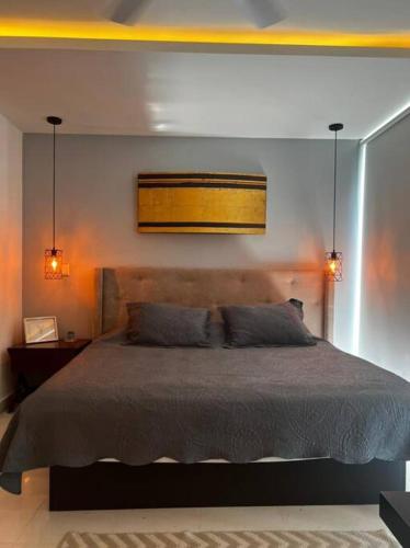 a bedroom with a large bed with two pillows at Precioso Loft a pie de playa in Nuevo Vallarta