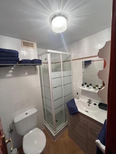 ein Bad mit einer Dusche, einem WC und einem Waschbecken in der Unterkunft Apartamento Urb Oasis Park II Denia, las Marinas in Denia
