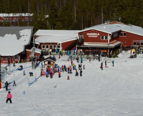 Επισκέπτες που μένουν στο Hassela Vandrarhem