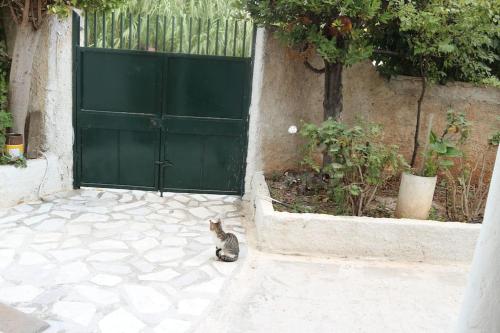 Near sea / Airport, Queen size bed, Fireplace