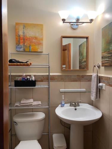 W łazience znajduje się umywalka, toaleta i lustro. w obiekcie The Casita at The Boquete Hacienda w mieście Boquete
