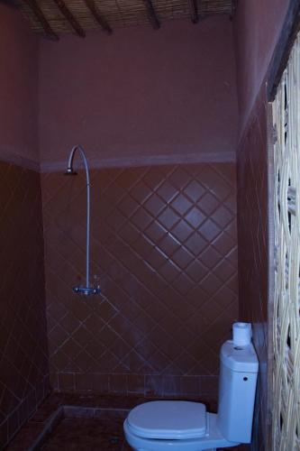 a bathroom with a toilet and a shower at La Fibule D'or in Aït Ben Haddou