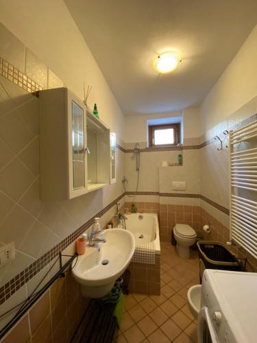 La salle de bains est pourvue d'un lavabo et de toilettes. dans l'établissement SARA'S, à Bardonnèche