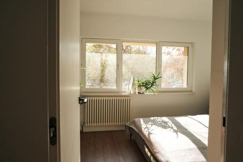 a bedroom with a bed and two windows at Ultracentral two rooms apartment in Bucharest in Bucharest