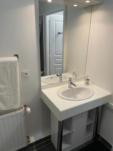 łazienka z umywalką i dużym lustrem w obiekcie Chambre agréable avec jacuzzi w Marsylii