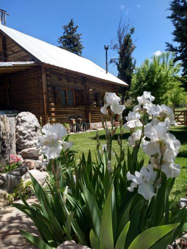 CABAÑAS SOL Y NIEVE – Photos 3