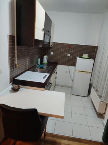 Kuchyňa alebo kuchynka v ubytovaní Apartment Zelena Oaza- free parking
