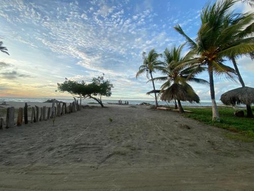 a sandy beach with palm trees and the ocean at Cabaña Kindi in Moñitos