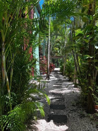 a path through a garden with palm trees and rocks at El Reinas by Sugar's Monkey in Playa Grande