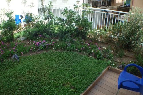 a garden with pink flowers and a blue chair at Hotel Miramare in Pineto