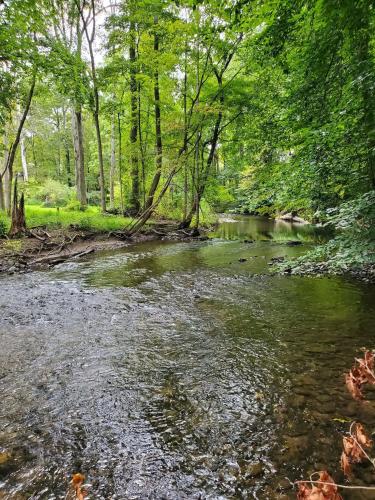 a river in the middle of a forest at Glenwood Inn - Stroudsburg in Delaware Water Gap