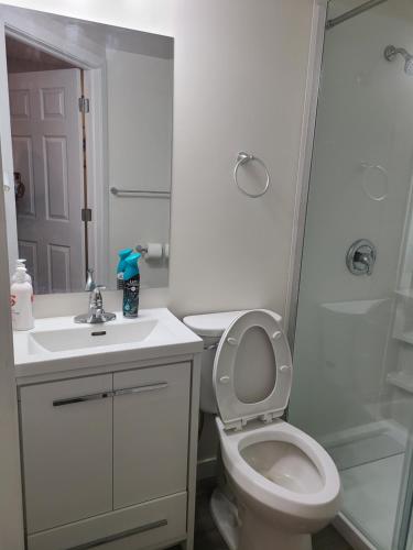 La salle de bains est pourvue de toilettes, d'un lavabo et d'une douche. dans l'établissement Bethel Joyful Home, à Winnipeg