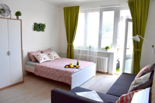 プラハにあるPrague city centre apartment Radka1の小さなベッドルーム(ベッド1台、ソファ付)