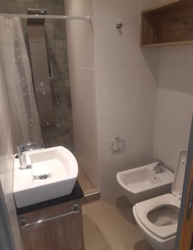 a bathroom with a sink and a toilet at PH playa Grande in Mar del Plata