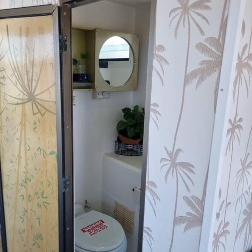 a bathroom with a toilet and a mirror at The one & only Houseboat Hire on Maroochy River in Maroochydore