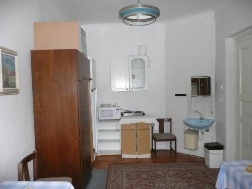 a small kitchen with a sink and a microwave at Apartment Trojska in Prague