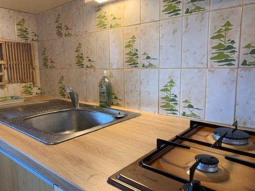 Il comprend une cuisine équipée d'un évier et d'une cuisinière. dans l'établissement T2 au Cap d'Agde: Piscine, Parking, Terrasse, Calme, Près de la Plage - FR-1-607-110, au Cap d'Agde