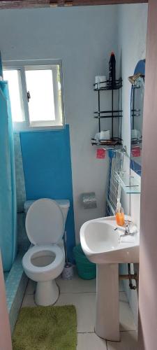 a bathroom with a toilet and a sink at Creole Cottage Homestay in Mahe
