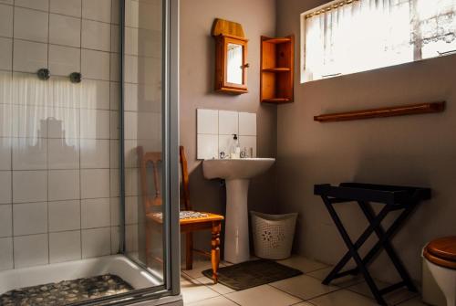 uma casa de banho com um chuveiro e um lavatório. em Farm stay at Lavender Cottage on Haldon Estate em Bloemfontein