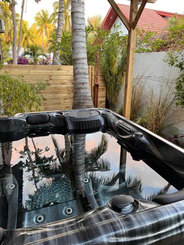 un tobogán de agua en una piscina con palmeras en La Casa Edelia, en La Saline-Les-Bains