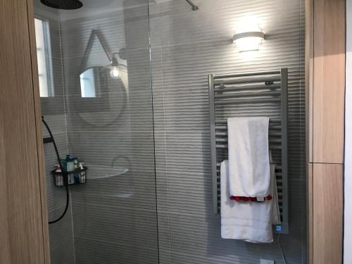 a bathroom with a shower with a towel on a towel rack at Front de mer 35m2 vue époustouflante in Carry-le-Rouet
