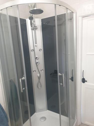 a shower with a glass door in a bathroom at Wildberry cottage in Orgères-la-Roche