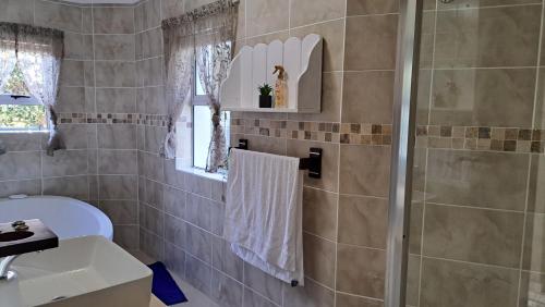 a bathroom with a shower and a sink at Flamingo Haven in Hermanus