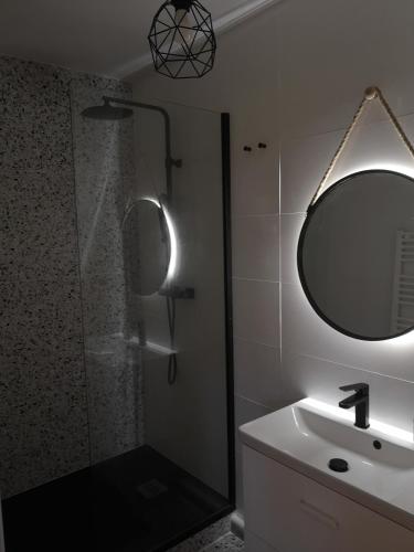 une salle de bain avec une douche, un lavabo et un miroir dans l'établissement Villa Sérénité, à Noisy-le-Grand