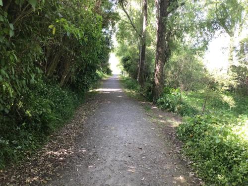 a dirt road with trees on both sides at Adorable 1-bedroom guesthouse with a deck in Lower Hutt