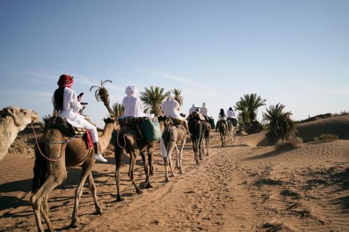 a group of people riding camels in the desert at CameLuxe Camp in Mhamid